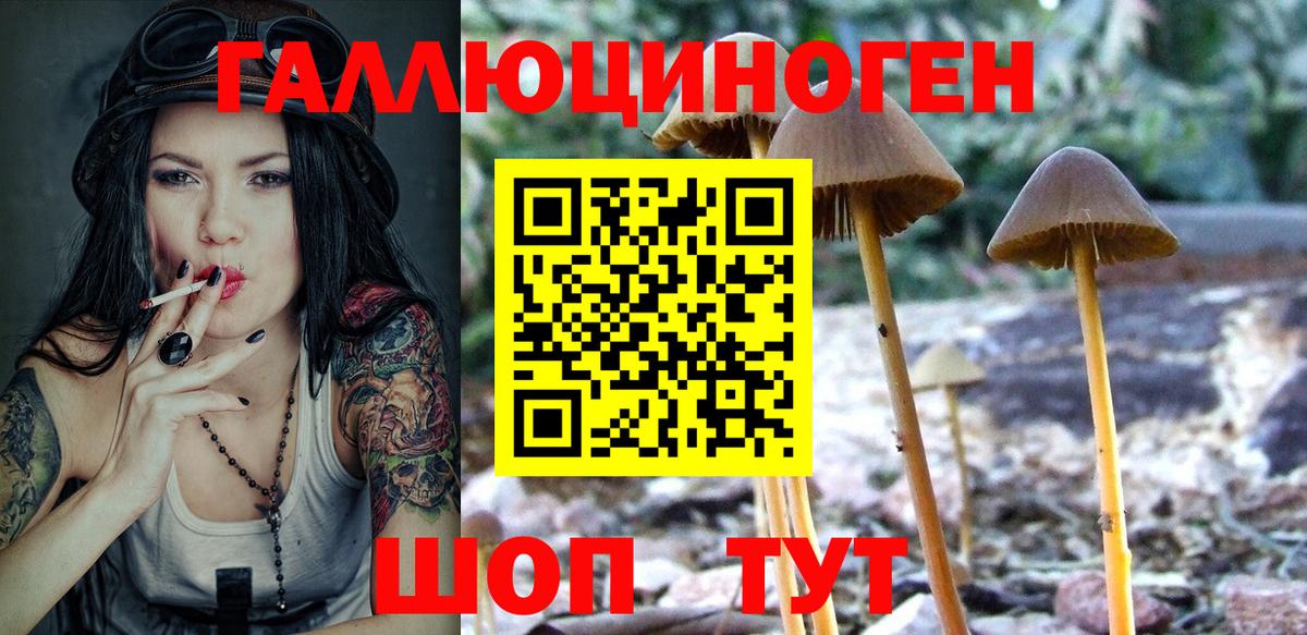 Лесосибирск  Галлюциногенные грибы GOLDEN TEACHER  закладка  Галлюциногенные грибы Psilocybine cubensis  Вход с VPN 